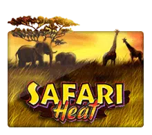 safari-heat