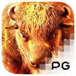 Buffalo-Win-PG-Slot-สล็อต-PG-พีจีสล็อต
