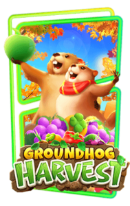 groundhog