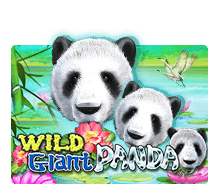slotxo-wild-giant-panda
