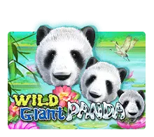 slotxo-wild-giant-panda