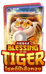 BLESSINGTIGER