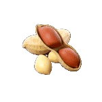 pg-slot-เว็บใหม่-ถั่ว