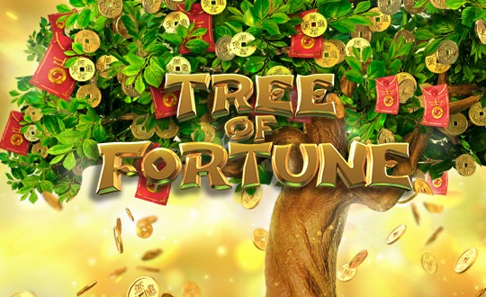 pgslot88-play-Tree-Of-Fortune